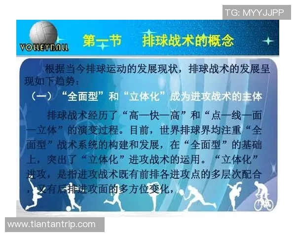 武汉排球队的整体压制策略与战术分析深度解析