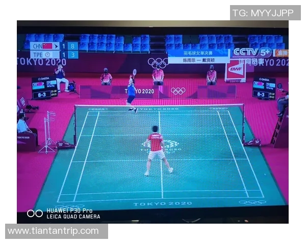 重庆羽毛球队在冠军赛中的战术表现分析与总结