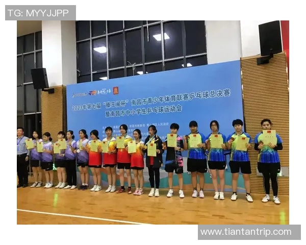 南京乒乓球队总决赛表现分析与状态评估的深度解读