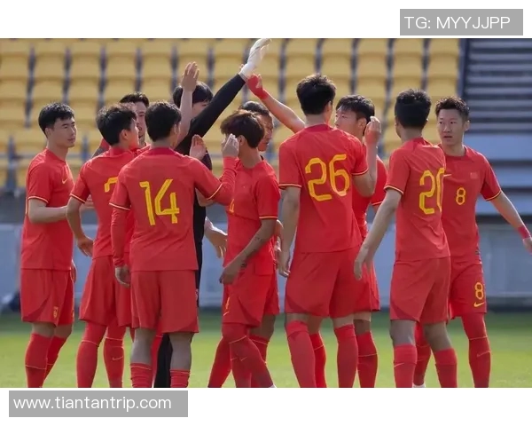 武汉排球队在世界杯预选赛中的强势表现与未来展望分析