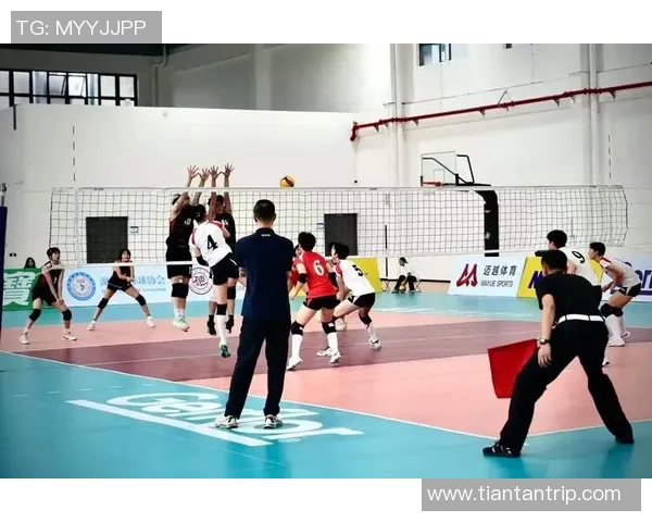 成都排球队的拼搏之路亚运会特别报道展现奋斗与荣耀的背影 成都排球队的拼搏之路亚运会特别报道展现奋斗与荣耀的背影