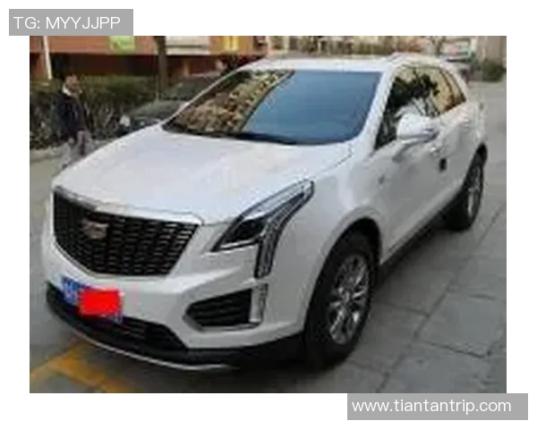 北京乒乓球队以84分稳居洲际杯积分榜首位展现强劲实力