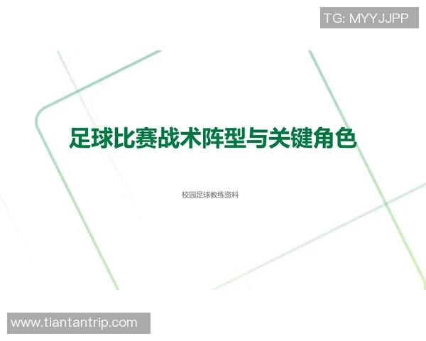 南京足球队总决赛速度表现分析与战术探讨 南京足球队总决赛速度表现分析与战术探讨