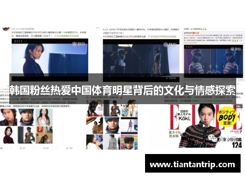 韩国粉丝热爱中国体育明星背后的文化与情感探索