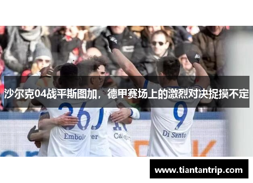 沙尔克04战平斯图加，德甲赛场上的激烈对决捉摸不定