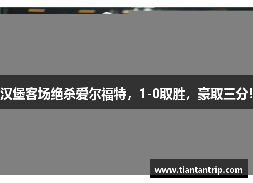 汉堡客场绝杀爱尔福特，1-0取胜，豪取三分！