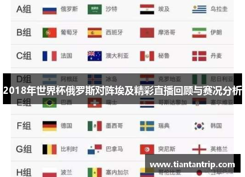 2018年世界杯俄罗斯对阵埃及精彩直播回顾与赛况分析