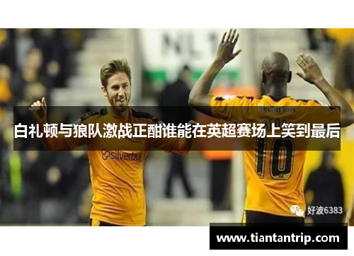 白礼顿与狼队激战正酣谁能在英超赛场上笑到最后