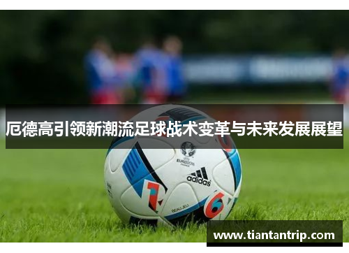 厄德高引领新潮流足球战术变革与未来发展展望